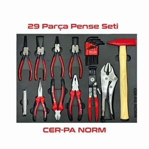 Cer-pa Dolu Takım Arabası 210 Parça