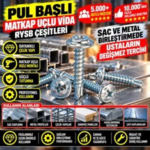 Pul Başlı Matkap Uçlu Vida RYSB 4,2x19 (1000 Ad)
