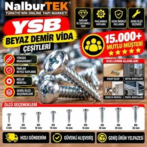 YSB Demir Vida Beyaz DIN7985 M5x10